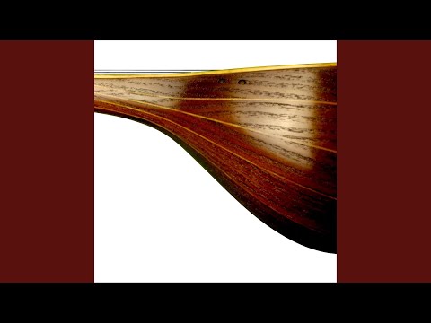 Learn Persian Setar, Lesson 2: First String, Open Left Hand