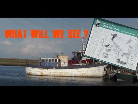 Walk around Oare Nature Reserve. Faversham Kent