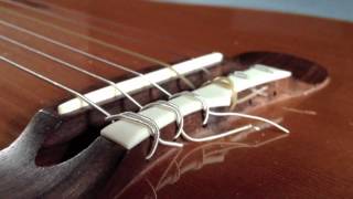 Video thumbnail for Gibson Chet Atkins Studio CEC by Frank Cost