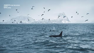 Klangstof - We Are Your Receiver (GHIZ reshape)