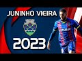 JUNINHO VIEIRA 2023