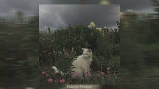 Mitski - Francis Forever (Slowed + Reverbed)