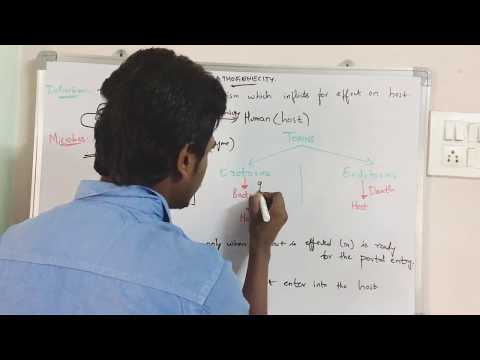 POINT MUTATION BY PHANINDRA GUPTHA