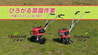 ひろがる菜園作業