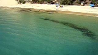 Playas en Australia- Isla moreton- Pablo Nievas y Valeria Zunino