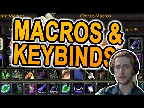 Faerlina's #1 Feral Druid explains his Keybinds & Macros - Classic WoW - Vanilla World of Warcraft