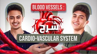 anatomy Blood vessels (CVS system) - تشريح الاوعية الدموية للكليات الطبية