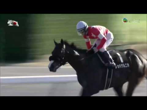 2016 Farewell Stakes - Red Guernica (名畫赤駿) - H.Kitamura