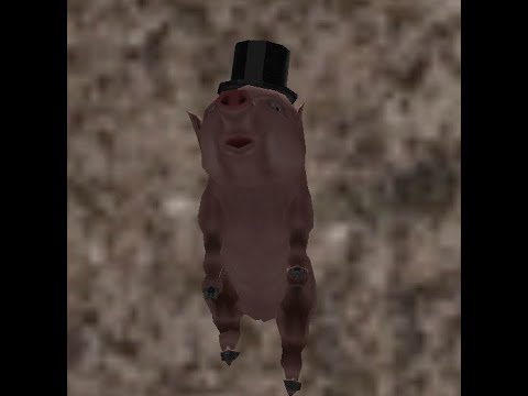 The Zoo Race is WEIRD!