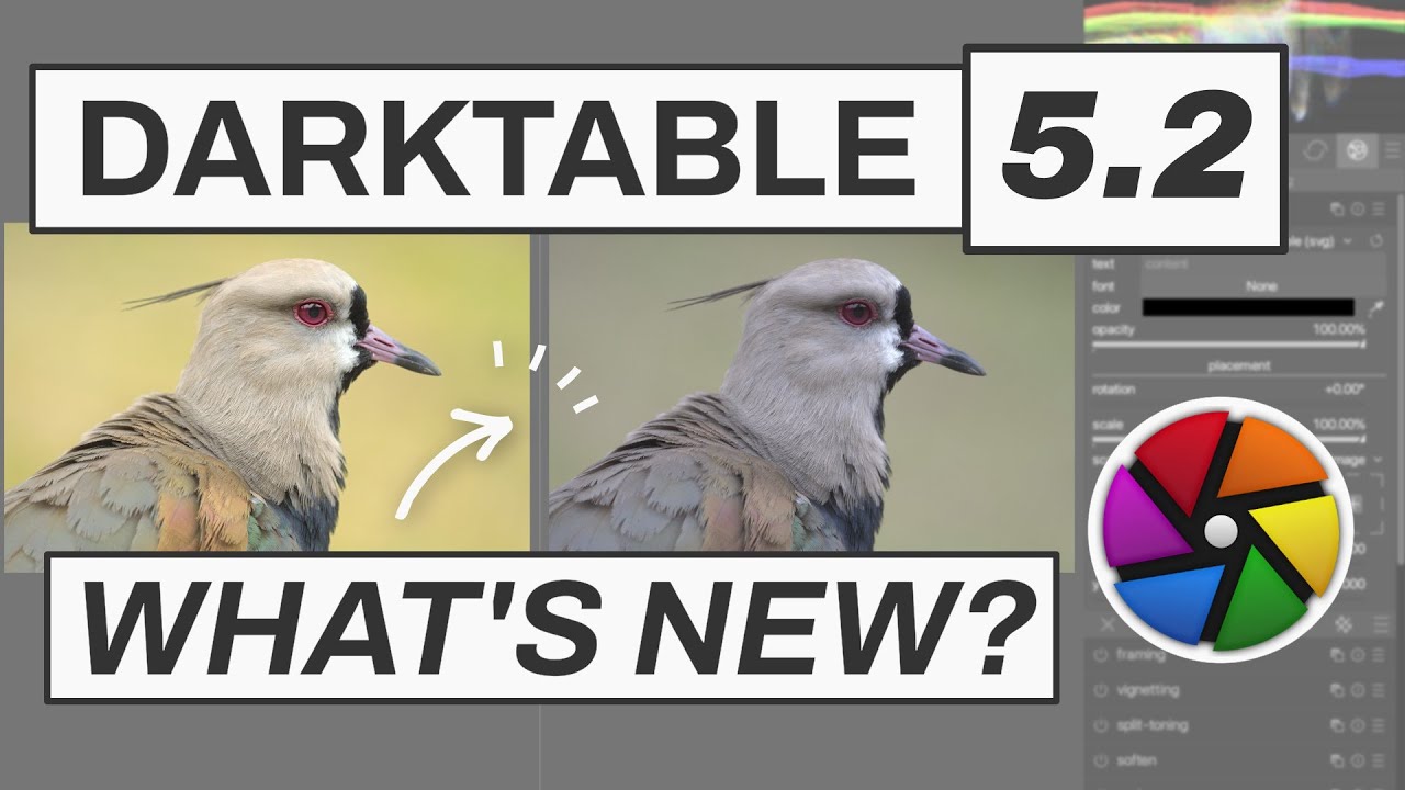 Darktable 5.2 Released! What's NEW? 9 Things you need to know!
