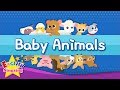 Baby Animals Kids Vocabulary Learn English For Kids English Educational Video