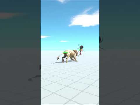 ARBS Shorts｜Lion vs Great Bulldog Ant