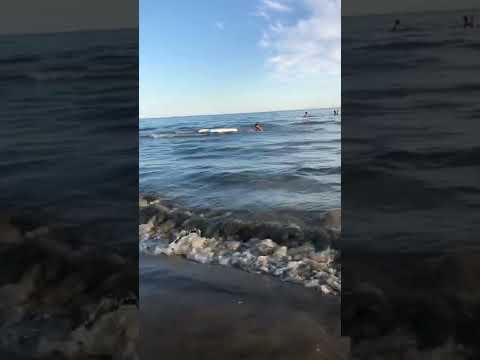 Danyal à la plage [La Grande Motte]