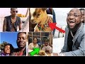 WIZKID Pet GOAT Missing + Davido Reacts | Zlatan Ibile Set For Marriage | Simi Rejects Adekunle Gold