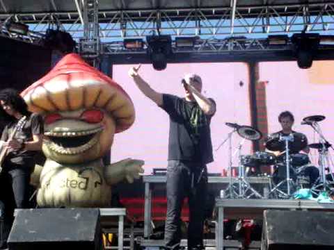 Infected Mushroom - Becoming Insane - One Nation Festival 2010