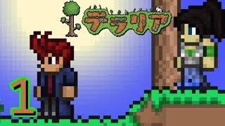 ＃1　テラリア