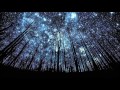 Amorphis - The Four Wise Ones 