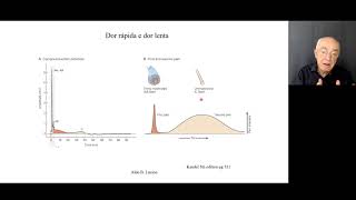 Nocicepção aula 2: Tipos de Dor
