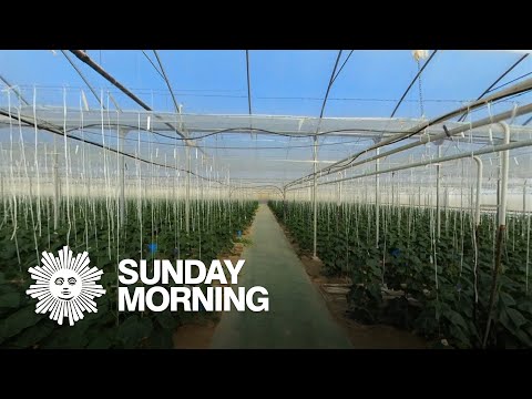 Turning Spain's desert into Europe's orchard