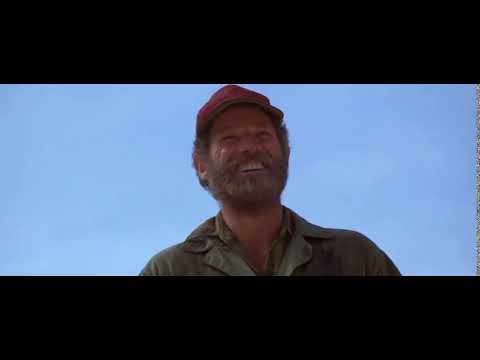 Big Wednesday Bear -- I'm just the garbage man