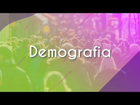Demographics - Brazil School