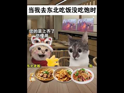 当我去东北吃饭没吃饱时#猫meme#猫meme剧场#猫meme小剧场#内容过于真实#故事#猫猫meme小剧场 #喵不可言#猫meme搞笑剧情