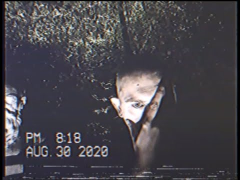 Młody Goh ( STYGMAT ) - Skarabeusz / Avatar ( VHS VIDEO )