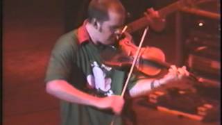 Seven Nations- Live at the Palace - Bog a Lochan