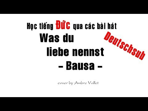 Học Tiếng Đức Qua Bài Hát - Was Du Liebe nennst - Bausa (Vietsub) Những gì bạn gọi là tình yêu