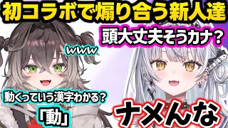 べにやひなーのがチラついたり、初コラボなのに煽り合ったりPONが出ちゃうサイネとちせの新人初コラボｗｗ【銀城サイネ/龍巻ちせ/ぶいすぽ】