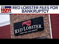 Red Lobster bankruptcy: Closing stores due to endless shrimp deal | LiveNOW from FOX