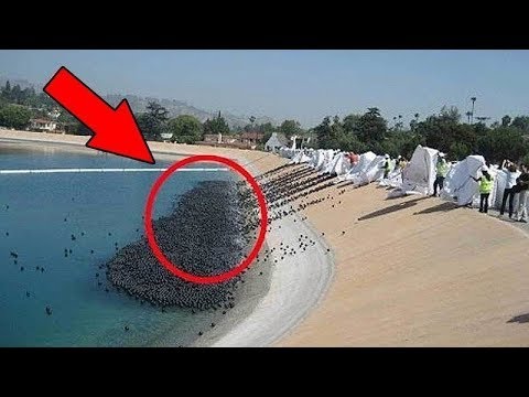 CRAZY Ideas That Actually Worked Video