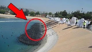 CRAZY Ideas That Actually Worked