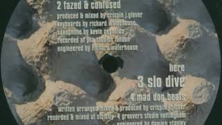 Century Falls ‎– Mad Dog Beats