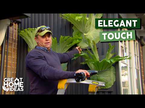 Stylish Side Yard Transformation | Great Home Ideas