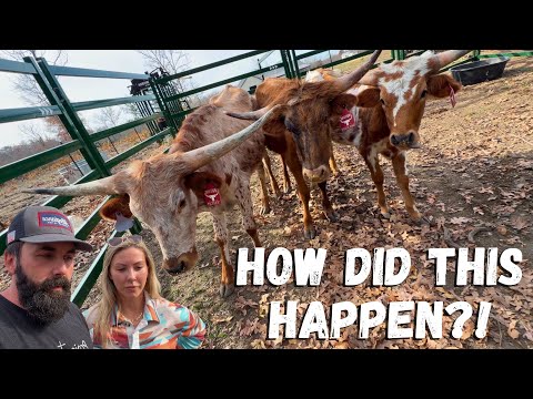 They ALL Overdosed…