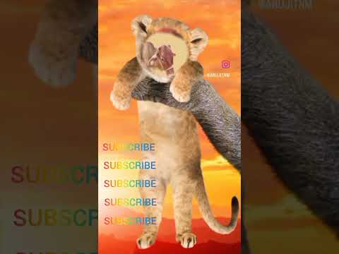 #anujit #contentcreator #amazing #short #funnyvideo 😺😺😺😺😺