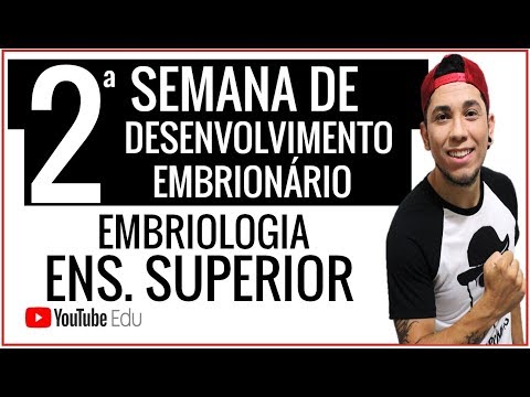 SEGUNDA SEMANA DE DESENVOLVIMENTO EMBRIONÁRIO │IMPLANTAÇÃO E FORMAÇÃO DO DISCO BILAMINAR