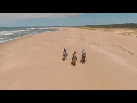 Rocha. Lomas de La Pedrera 