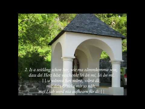 Lei mei anzige Liab von Hedi Preisegger mit Impressionen auf dem Wag nach Kaltenbrunn 2010