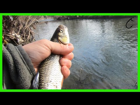 Ultra light chub fishing with soft lures, ultralight jigging - bushcraft, cook over the campfire