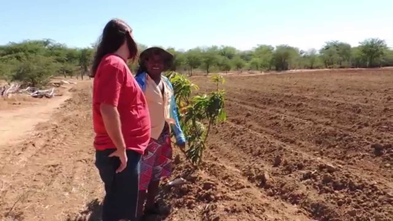 MISSÃO NORDESTE - DOCUMENTÁRIO
