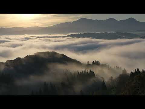 雲海　山本山沢山ポケットパーク［4K ver.］
