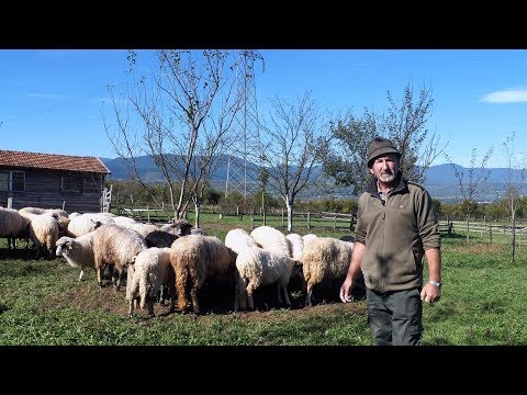 Selo ne bih dao ni za cijeli neboder