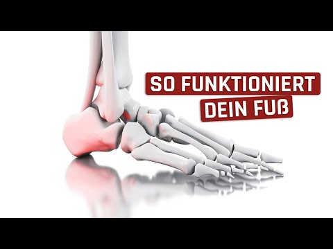 Sportclips Gelenke Rückenschmerzen verursacht Brust