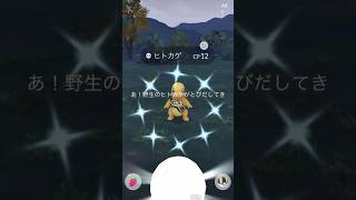 ⚠️1時間600匹捕獲‼️〜色違いフリードヒトカゲ求めて〜🐲🔥スポットライトアワーガチってみた🔥 #ポケモンgo #pokemongo #pokemongoshorts