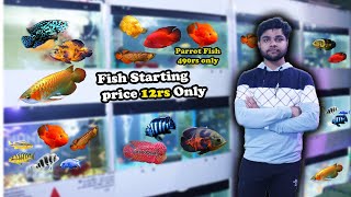 Sabse Sasti Aquarium Fish at Hunk Fish aquarium Shop || Chaep Price Aquarium in Ghaziabad