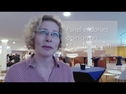 Report on EFSA CONTAM Panel open meeting, 12 May 2016