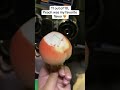 Savor The Viral Propitious Mango Lemon Peach Ice Cream