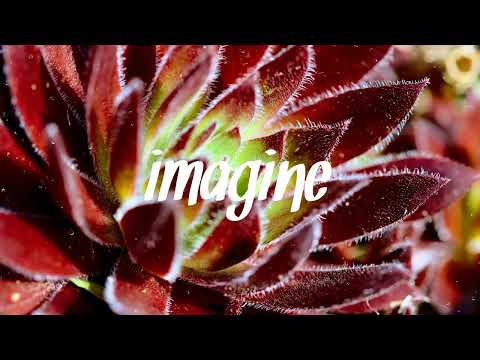 Steam Phunk x Soundr - Original Sin